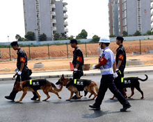 警犬護衛(wèi)隊